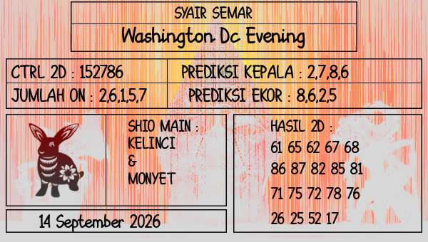 SYAIR SEMAR - Washington Dc Evening